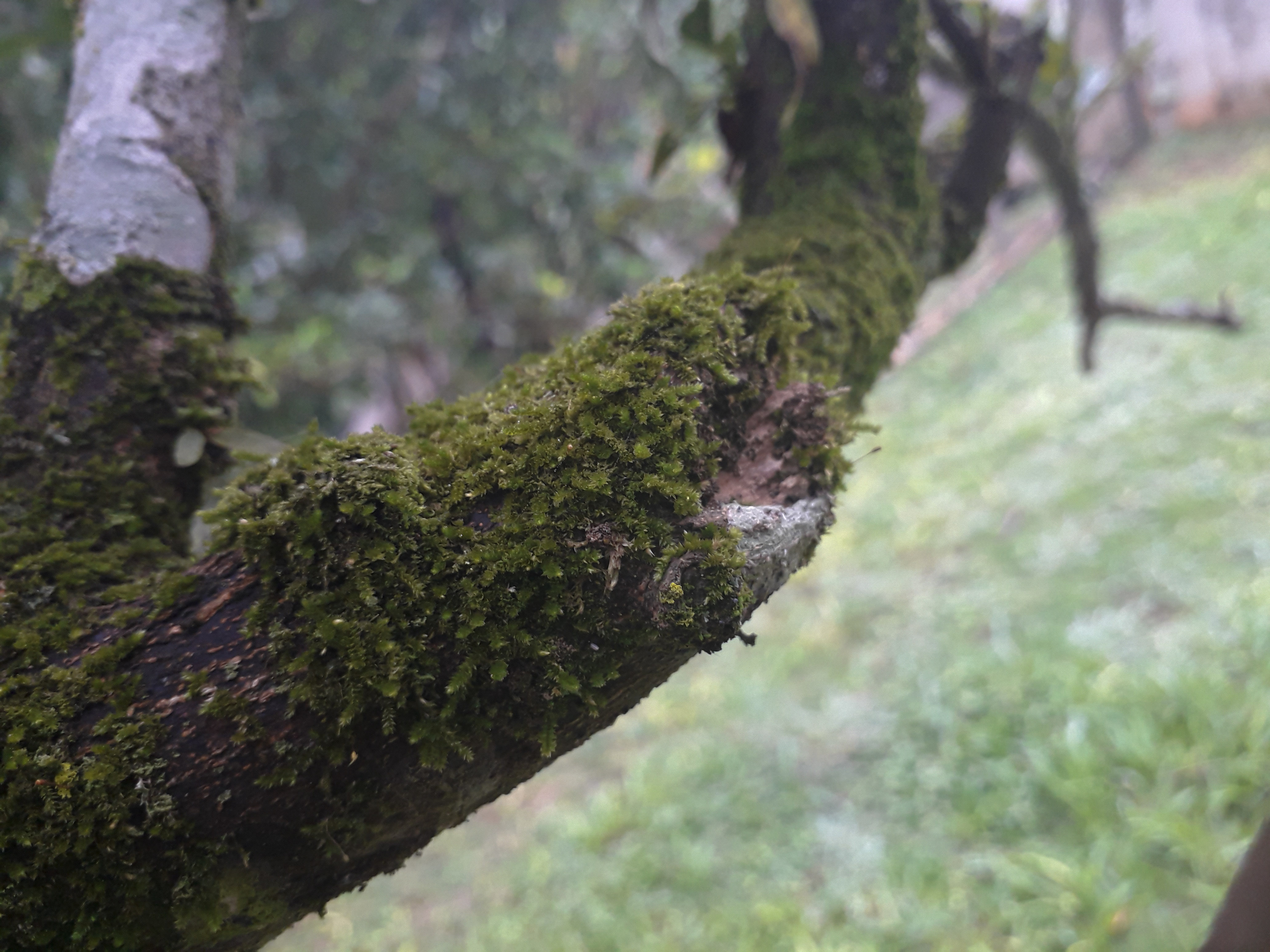 Image not available.